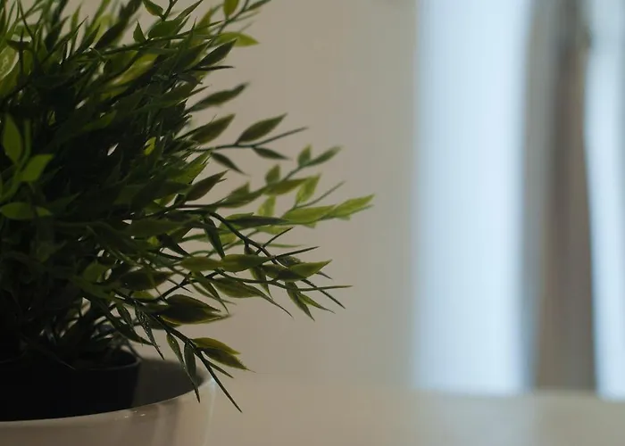 בית הארחה Porto טרני